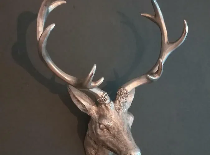 Am Wasserfall 31 * Bad Gastein