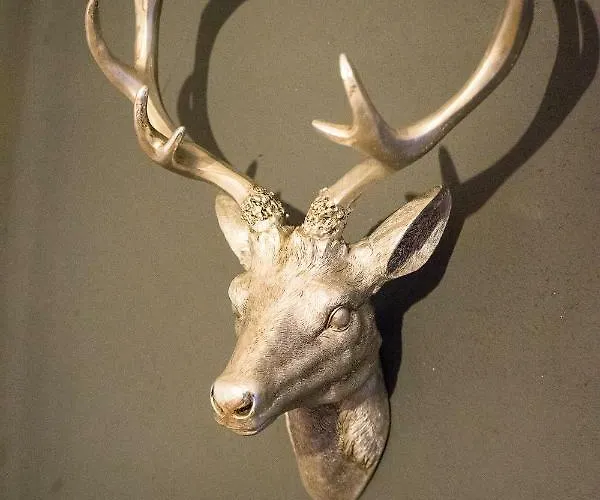 Am Wasserfall 31 Appartement *